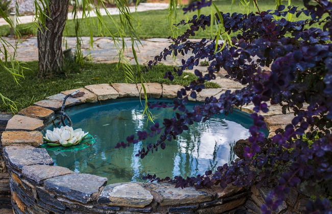 Elisa Villa - Foto 46