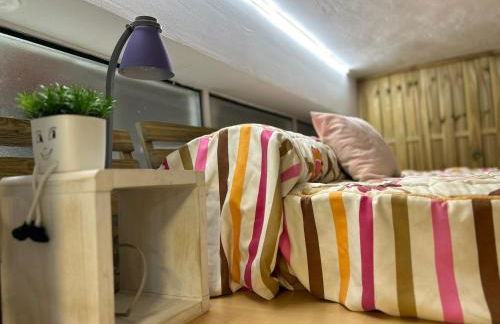 El Hidalgo - Foto 17