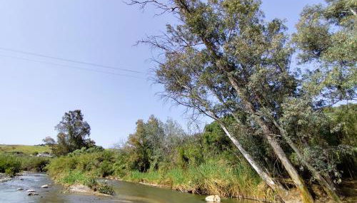 Andalusian Pool Parties Music & Magic - Photo 3