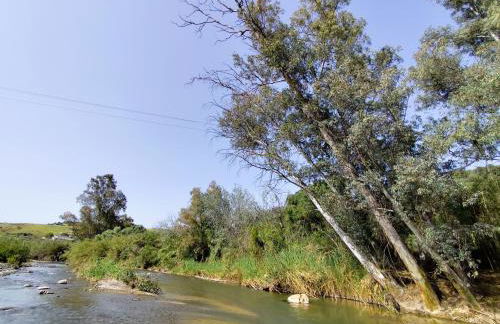 Andalusian Pool Parties Music & Magic - Photo 3