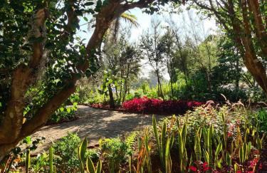 Quinta da Moscadinha - Foto 23