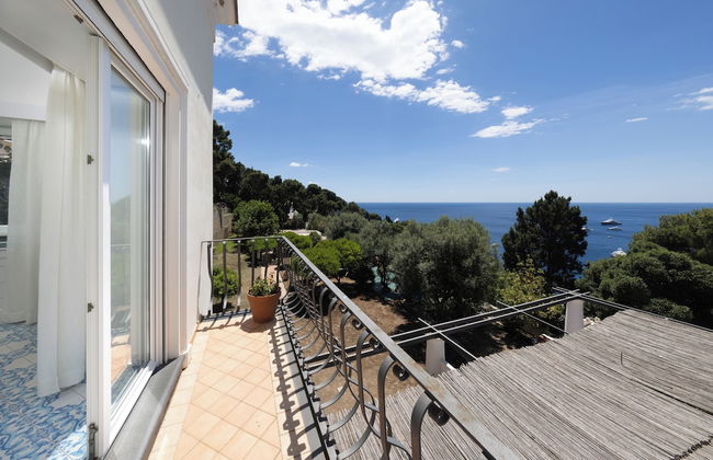 Oliveto Capri - Foto 64