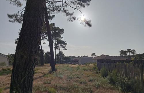 Santa Monta - Foto 29