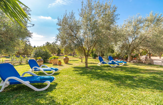 Son Catlar - Photo 2