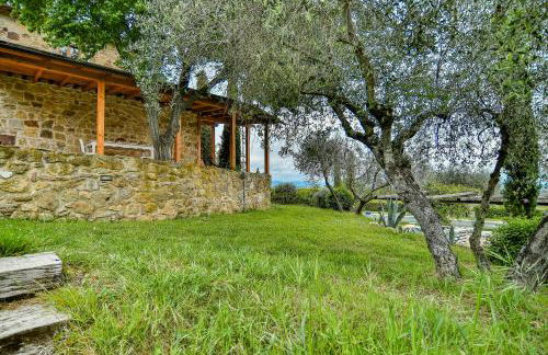 L'Aquila e L'Ulivo - Foto 12