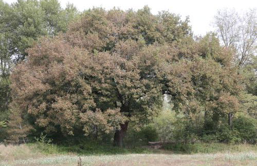 Casa La Gorga - Foto 37