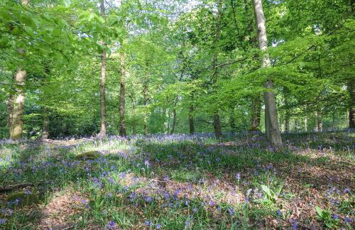 Appletree Barn - Foto 15