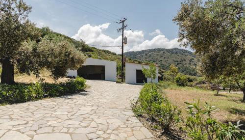 Los Olivos V.I.P Poolvilla Kritinia - Foto 5, Garden