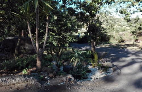 La terra dei ciliegi tra l'Etna e il mare di Taormina - Foto 19