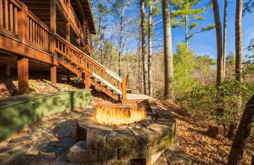 Hog Heaven - Cherry Log GA - Pet Friendly Cabin - Foto 10