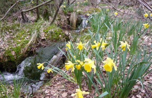 Chalet luxe 12 personnes SPA SAUNA VOSGES-GERARDMER - Foto 18