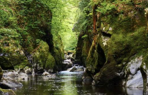 Lavender Lodge - Photo 18