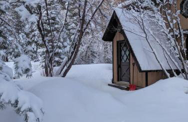 Cabin on Big Cottonwood River - Foto 17