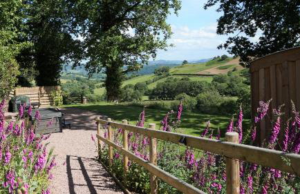 Little Acorn - Luxury shepherd's hut / lodge with private hot tub and garden - Foto 17