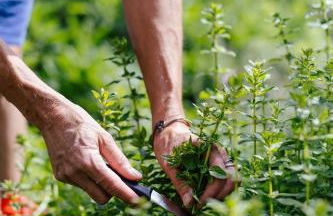 Hofer am Bach - Foto 16