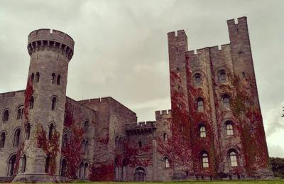 Claires Cottage - Photo 48