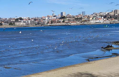 Douro Porto View - Foto 79