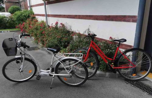 Studio du chenal 3 étoiles - Foto 11