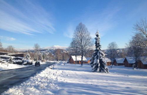 Ferienpark Arber - Foto 10