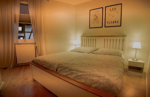 Moderne Altstadt Apartments - Marktplatznähe- ruhige zentrale Lage - Natur&Kultur - Foto 11