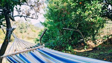 Varanda do Outeiro - Foto 5