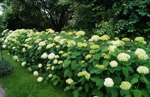 Ferienwohnung Annabelle - Foto 16