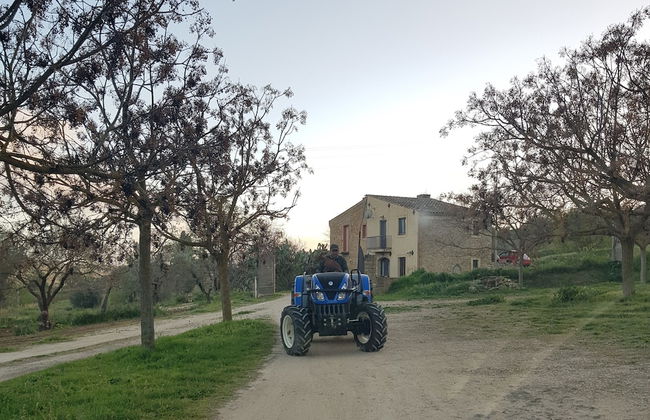 Casale delle Rose - Photo 77