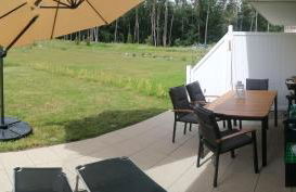 Ostsee-Wiesenpieper (Graal-Müritz) - Foto 9