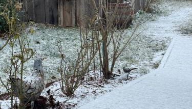 Ferienwohnung Silvaner in fränkischer Weinregion - Foto 4