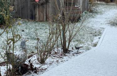 Ferienwohnung Silvaner in fränkischer Weinregion - Foto 4