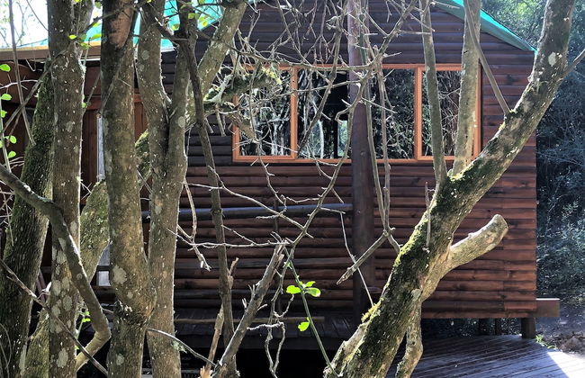 Teniqua Treetops - Foto 5