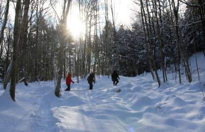 10 Min to Loon-Hottub-Pet Friendly-EV Charger - Foto 45