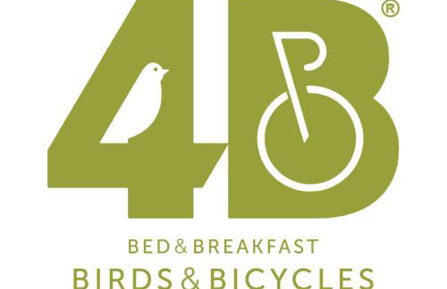 4Bs - Birds & Bicycles - Foto 32