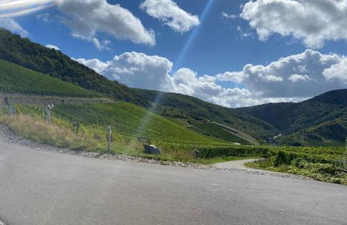 Apartment an der Mosel 1 - Foto 11