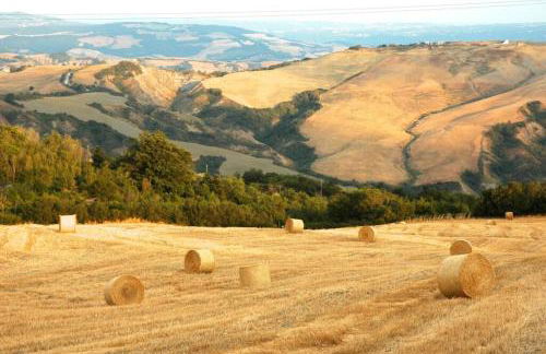 Cottage Assolata overlooking the Orcia valley in Tuscany - Foto 14