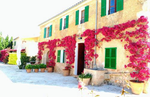 son capellot - Foto 7