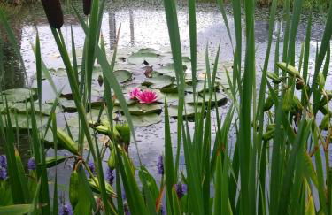 STABLES Stylish comfortable peaceful cottage with parking and outdoor space - Photo 77