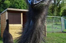 Wild Coastal Retreat at Troed Y Rhiw Aberporth, West Wales - Foto 38