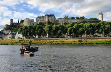 AU COEUR De LA CITE MÉDIÉVALE - Foto 16