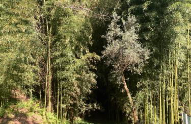 Casa da Assudra - Foto 48