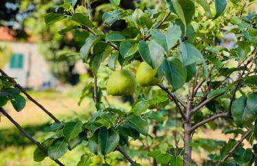 The Farm House.23 - Foto 35