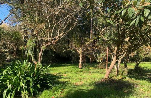 Masía Can Janet alojamiento rural con piscina privada en plena naturaleza - Foto 46