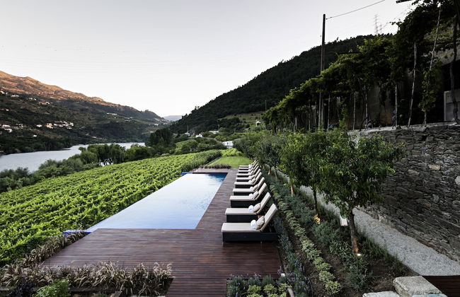 Quinta de S. Bernardo Winery & Farmhouse - Foto 22