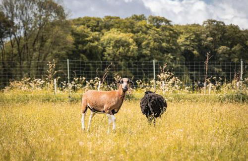 Auszeit Altenhorst, Bauernhaus - Foto 16