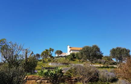 Água Rocha - Foto 2