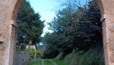 Villa con parco e piscina-Camaiore - Foto 2