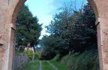 Villa con parco e piscina-Camaiore - Foto 2