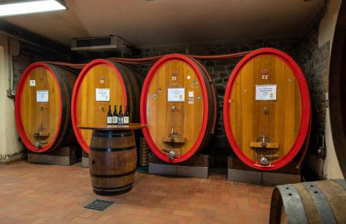 Fattoria Camigliano, Luxury Farmhouse with Pool inside a Wine Estate - Foto 113