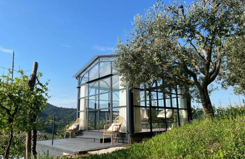 Agriturismo Il Conte Vassallo - Foto 22