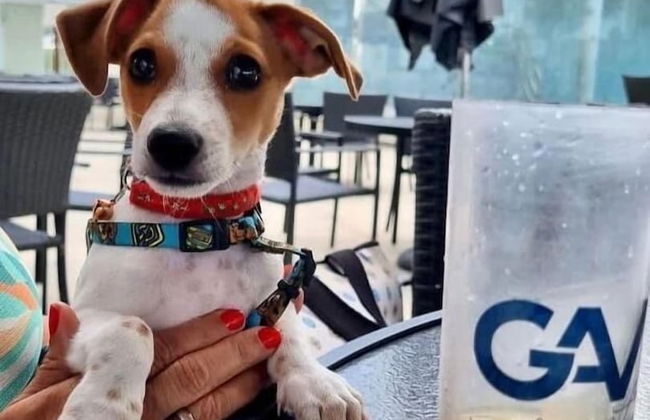 Salinas Exclusive Resort - Foto 19